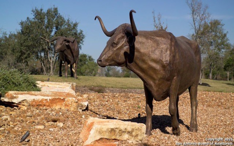 211 American Robin Way, San Antonio, TX 78253, 3 Habitaciones Habitaciones , ,2 BañosBaños,Residential,En Venta,211 American Robin Way,0,1899147