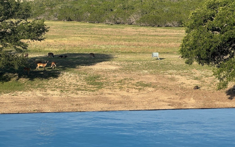 1275 Cypress Creek Rd, Kerrville, TX 78028, ,Farm,For Sale,1275 Cypress Creek Rd,118157