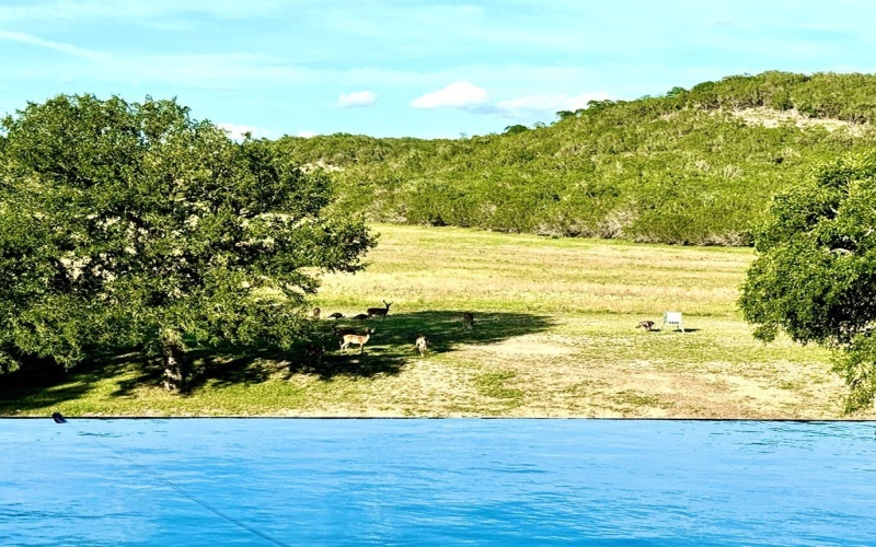 1275 Cypress Creek Rd, Kerrville, TX 78028, ,Farm,For Sale,1275 Cypress Creek Rd,118157