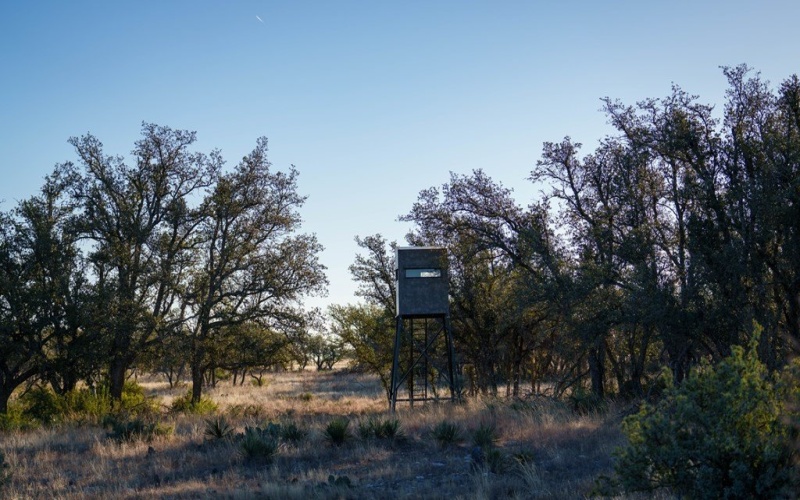 None, Menard, TX 76859, ,Farm,For Sale,None,118485