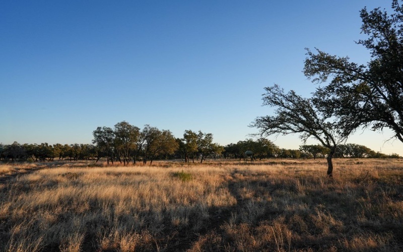 None, Menard, TX 76859, ,Farm,For Sale,None,118485