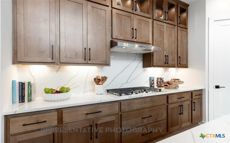 261 Menlo Bend, Liberty Hill, TX 78642, 5 Bedrooms Bedrooms, ,5 BathroomsBathrooms,Residential,For Sale,261 Menlo Bend,0,599311