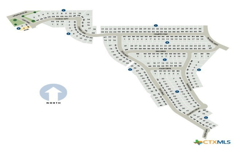 3015 Nash Drive, New Braunfels, TX 78132, 3 Habitaciones Habitaciones , ,2 BañosBaños,Residential,En Venta,3015 Nash Drive,0,598718