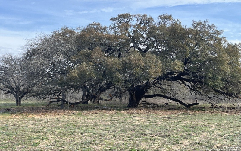 Fm 476 lot: 3 10392, Poteet, TX 78065, 3 Bedrooms Bedrooms, ,2 BathroomsBathrooms,Residential,For Sale,Fm 476 lot: 3 10392,0,1895096