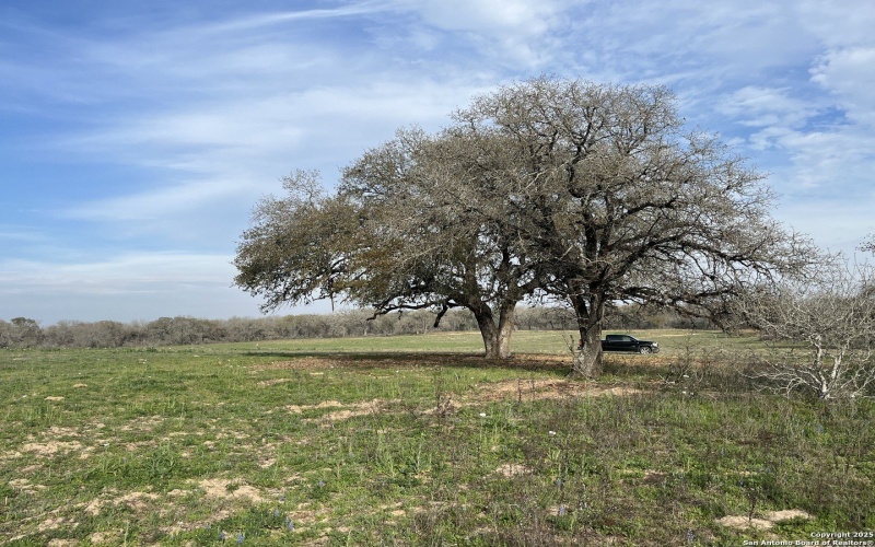 Fm 476 lot: 3 10392, Poteet, TX 78065, 3 Bedrooms Bedrooms, ,2 BathroomsBathrooms,Residential,For Sale,Fm 476 lot: 3 10392,0,1895096