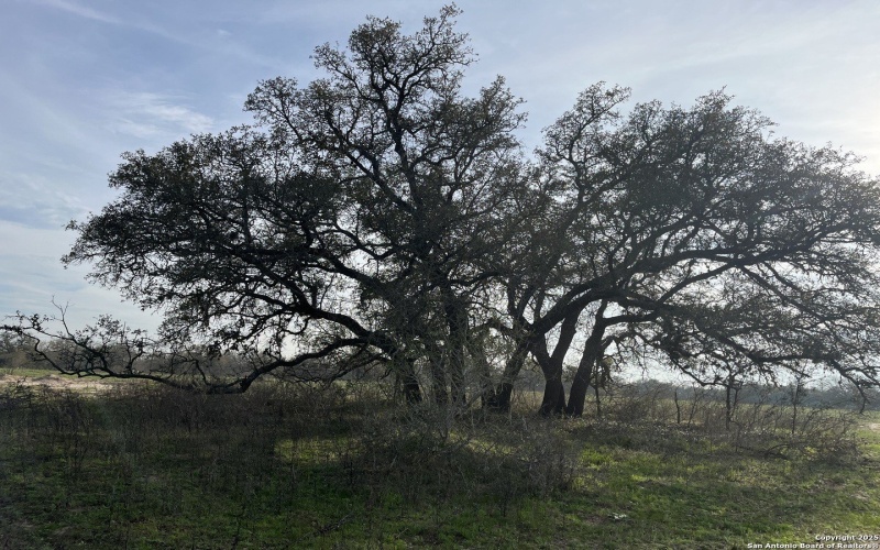 Fm 476 lot: 3 10392, Poteet, TX 78065, 3 Bedrooms Bedrooms, ,2 BathroomsBathrooms,Residential,For Sale,Fm 476 lot: 3 10392,0,1895096