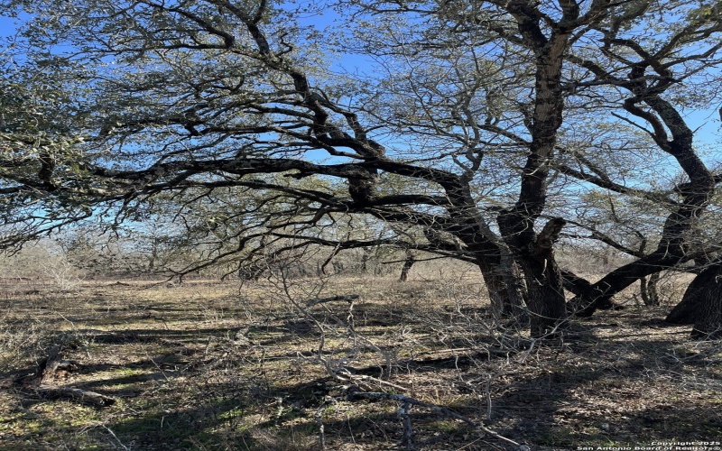 Fm 476 lot: 3 10392, Poteet, TX 78065, 3 Bedrooms Bedrooms, ,2 BathroomsBathrooms,Residential,For Sale,Fm 476 lot: 3 10392,0,1895096