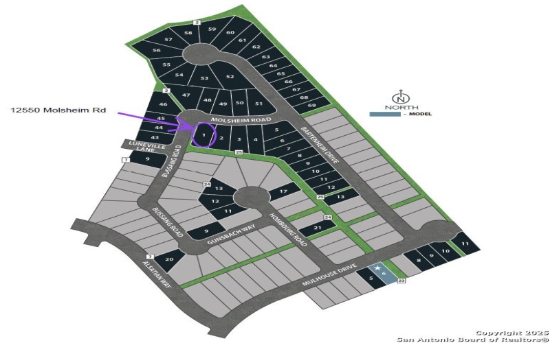 12550 Molsheim Rd, Schertz, TX 78154, 4 Bedrooms Bedrooms, ,3 BathroomsBathrooms,Residential,For Sale,12550 Molsheim Rd,0,1897623