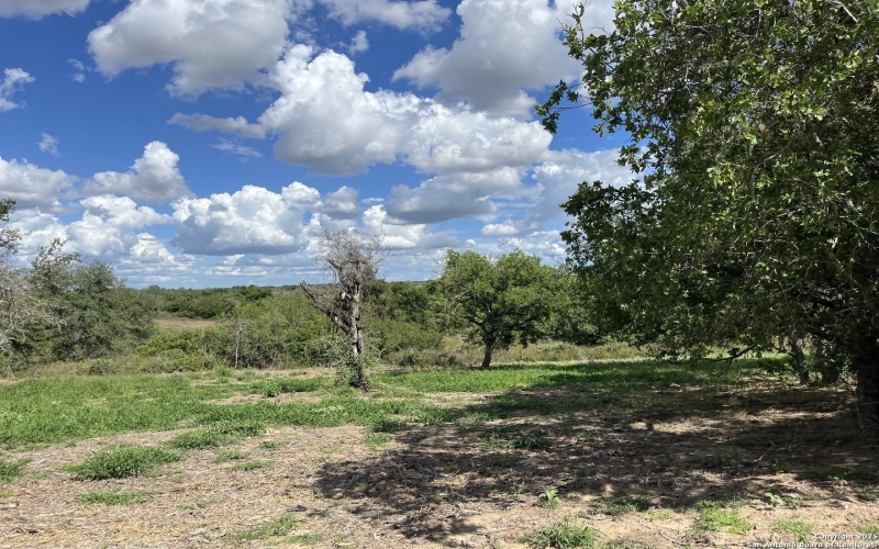 County Rd 124 lot: 3 497, Floresville, TX 78112, 4 Bedrooms Bedrooms, ,2 BathroomsBathrooms,Residential,For Sale,County Rd 124 lot: 3 497,0,1927019