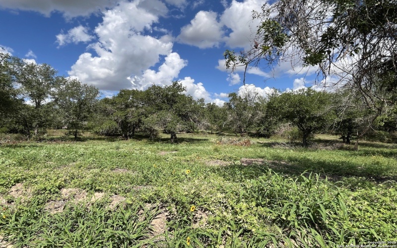 County Rd 124 lot: 3 497, Floresville, TX 78112, 4 Bedrooms Bedrooms, ,2 BathroomsBathrooms,Residential,For Sale,County Rd 124 lot: 3 497,0,1927019