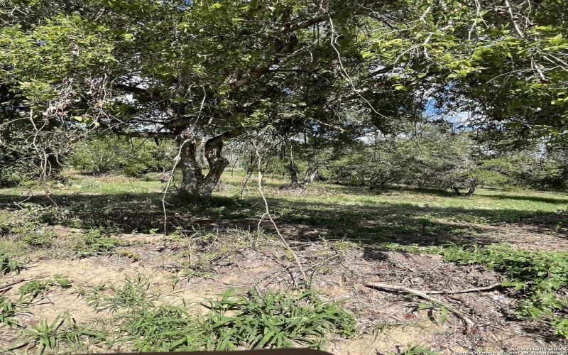 Cr 124 lot: H 497, Floresville, TX 78114, 3 Bedrooms Bedrooms, ,2 BathroomsBathrooms,Residential,For Sale,Cr 124 lot: H 497,0,1927024