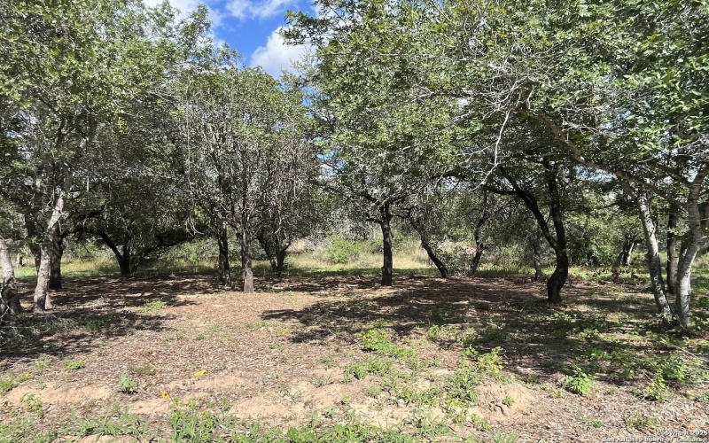 County Rd 124 lot: I 497, Floresville, TX 78112, 3 Bedrooms Bedrooms, ,2 BathroomsBathrooms,Residential,For Sale,County Rd 124 lot: I 497,0,1927025