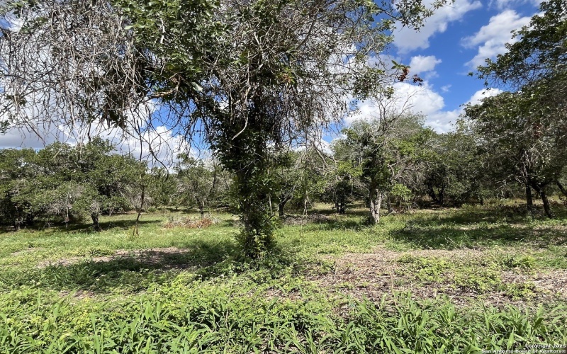 County Rd 124 lot: I 497, Floresville, TX 78112, 3 Bedrooms Bedrooms, ,2 BathroomsBathrooms,Residential,For Sale,County Rd 124 lot: I 497,0,1927025