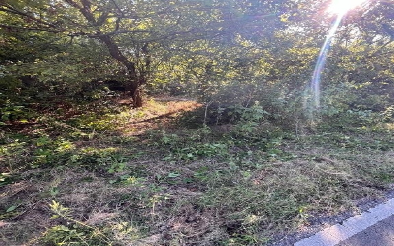 215 N Houston School Road, Lancaster, TX 75146, ,Tierra,En Venta,215 N Houston School Road,0,21128439