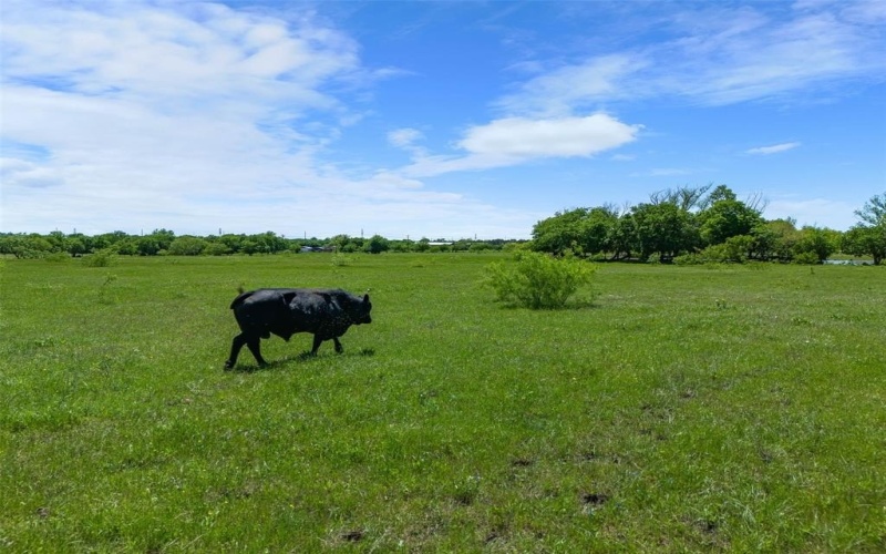 2507a Howell Drive, Mansfield, TX 76084, ,Commercial Sale,En Venta,2507a Howell Drive,0,21110127