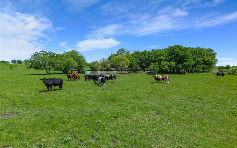 2507a Howell Drive, Mansfield, TX 76084, ,Commercial Sale,En Venta,2507a Howell Drive,0,21110127