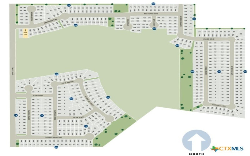 3019 Nash Drive, New Braunfels, TX 78132, 4 Bedrooms Bedrooms, ,3 BathroomsBathrooms,Residential,For Sale,3019 Nash Drive,0,599055