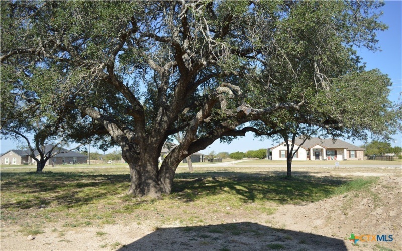 425 County Road 3152, Kempner, TX 76539, 4 Bedrooms Bedrooms, ,2 BathroomsBathrooms,Residential,For Sale,425 County Road 3152,0,599771