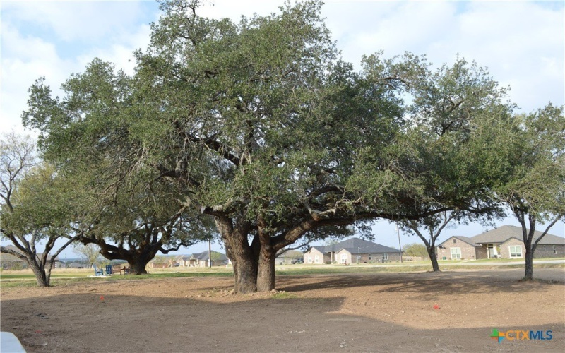 425 County Road 3152, Kempner, TX 76539, 4 Bedrooms Bedrooms, ,2 BathroomsBathrooms,Residential,For Sale,425 County Road 3152,0,599771