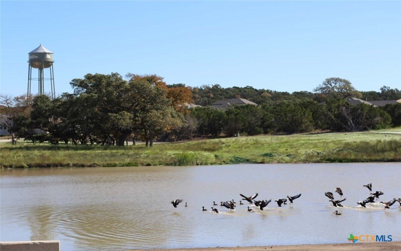 110 Carino Cove, Boerne, TX 78006, 4 Bedrooms Bedrooms, ,5 BathroomsBathrooms,Residential,For Sale,110 Carino Cove,0,599926