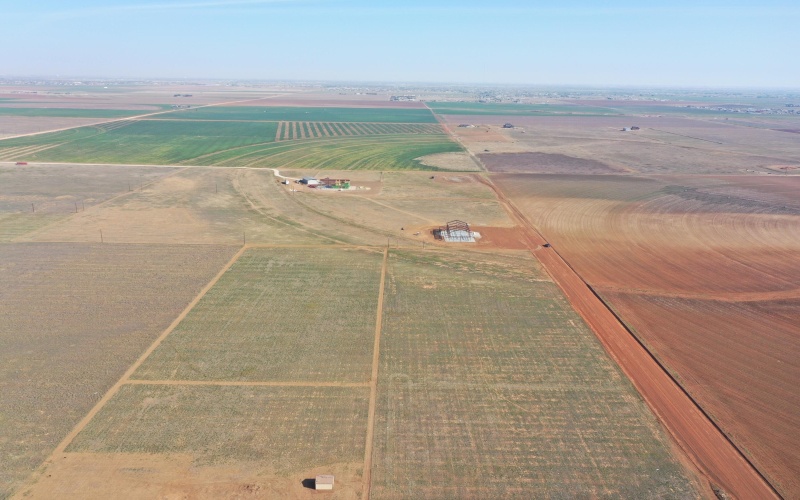 1254 County Road 1, New Home, TX 79381, 4 Bedrooms Bedrooms, ,5 BathroomsBathrooms,Residential,For Sale,1254 County Road 1,0,202552493