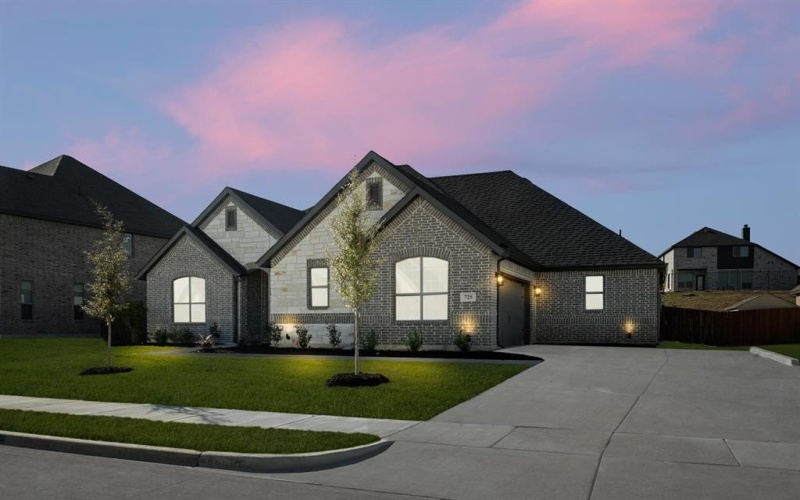 725 Winecup Way, Midlothian, TX 76065, 3 Habitaciones Habitaciones , ,2 BañosBaños,Residential,En Venta,725 Winecup Way,0,21132893