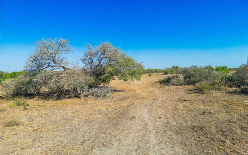 3189-3251 County Road 407, Karnes City, TX 78113, ,Granja,En Venta,3189-3251 County Road 407,0,468857