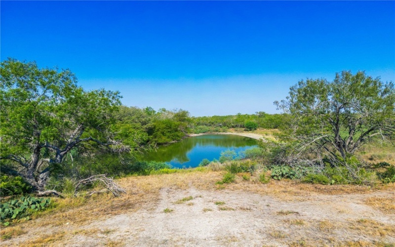 3189-3251 County Road 407, Karnes City, TX 78113, ,Granja,En Venta,3189-3251 County Road 407,0,468857