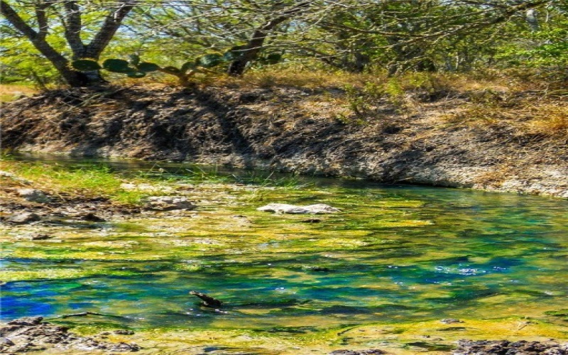 3189-3251 County Road 407, Karnes City, TX 78113, ,Granja,En Venta,3189-3251 County Road 407,0,468857