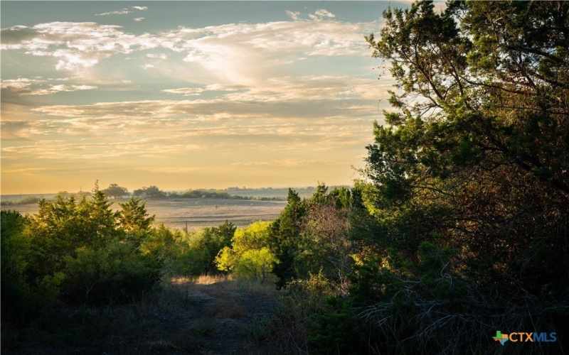 437 Hulda Trail, New Braunfels, TX 78130, 4 Bedrooms Bedrooms, ,5 BathroomsBathrooms,Residential,For Sale,437 Hulda Trail,0,600231