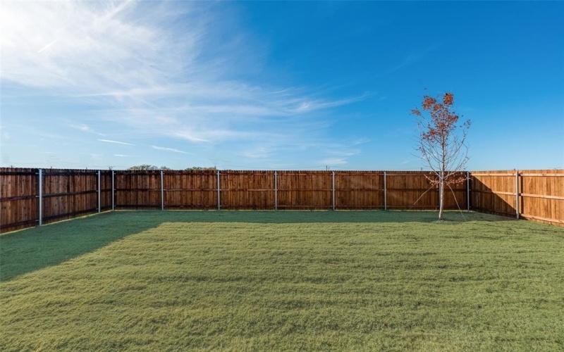 4125 Poe Avenue, Celina, TX 76227, 4 Habitaciones Habitaciones , ,3 BañosBaños,Residential,En Venta,4125 Poe Avenue,0,21136452