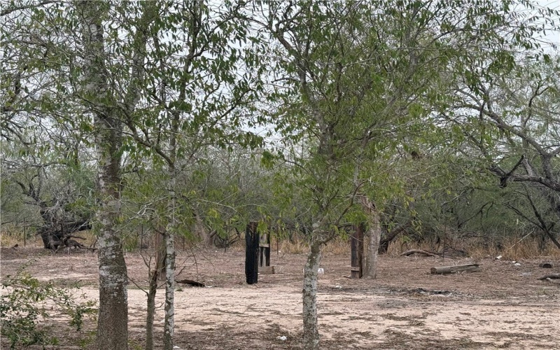 450 County Road 480, Alice, TX 78332, 3 Bedrooms Bedrooms, ,2 BathroomsBathrooms,Residential,For Sale,450 County Road 480,0,469041