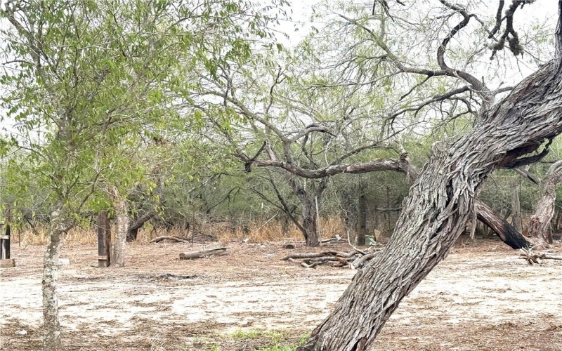 450 County Road 480, Alice, TX 78332, 3 Bedrooms Bedrooms, ,2 BathroomsBathrooms,Residential,For Sale,450 County Road 480,0,469041