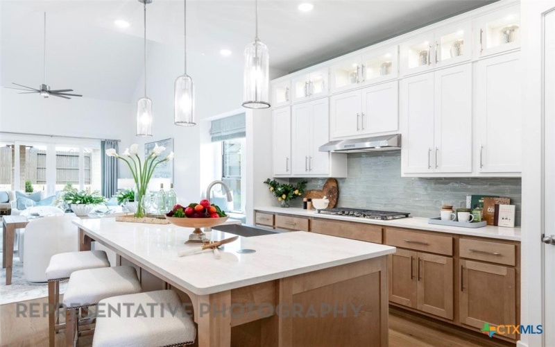 540 High Summit Drive, Georgetown, TX 78628, 5 Bedrooms Bedrooms, ,6 BathroomsBathrooms,Residential,For Sale,540 High Summit Drive,0,600477