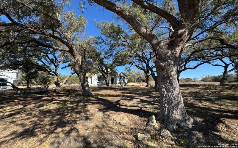 10891 Chestnut Warbler, New Braunfels, TX 78132, 4 Habitaciones Habitaciones , ,3 BañosBaños,Residential,En Venta,10891 Chestnut Warbler,0,1929890