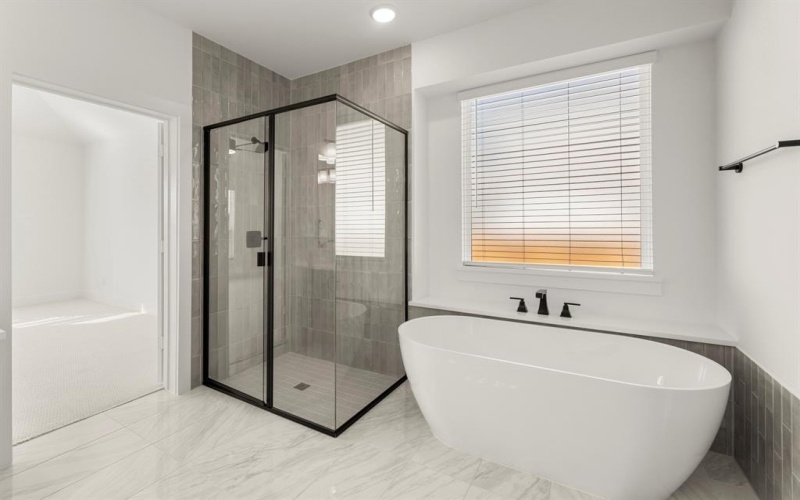 605 Curtiss Drive, Fate, TX 75087, 5 Habitaciones Habitaciones , ,5 BañosBaños,Residential,En Venta,605 Curtiss Drive,0,21139218