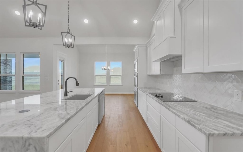 2441 Tyler Wade Trail, Waxahachie, TX 75167, 4 Habitaciones Habitaciones , ,3 BañosBaños,Residential,En Venta,2441 Tyler Wade Trail,0,21139286