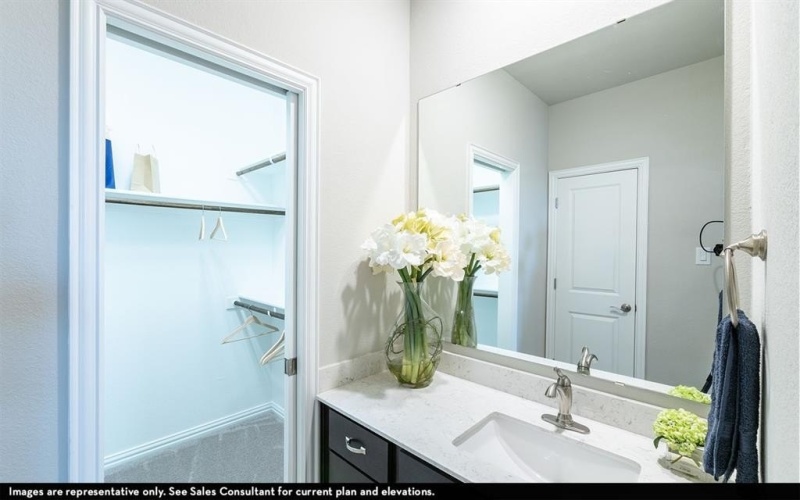 1423 Diamond Drive, St. Paul, TX 75098, 4 Habitaciones Habitaciones , ,3 BañosBaños,Residential,En Venta,1423 Diamond Drive,0,21143000