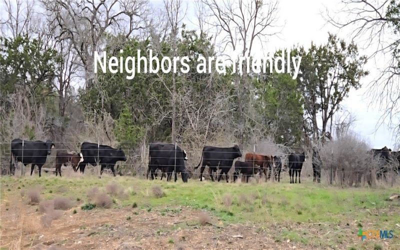 1409 Fossil Trail, Belton, TX 76513, 3 Bedrooms Bedrooms, ,2 BathroomsBathrooms,Residential,For Sale,1409 Fossil Trail,0,600905