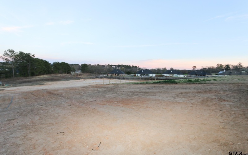 14176 Lexi Court, Tyler, TX 75703, 4 Bedrooms Bedrooms, ,2 BathroomsBathrooms,Residential,For Sale,14176 Lexi Court,0,26000139