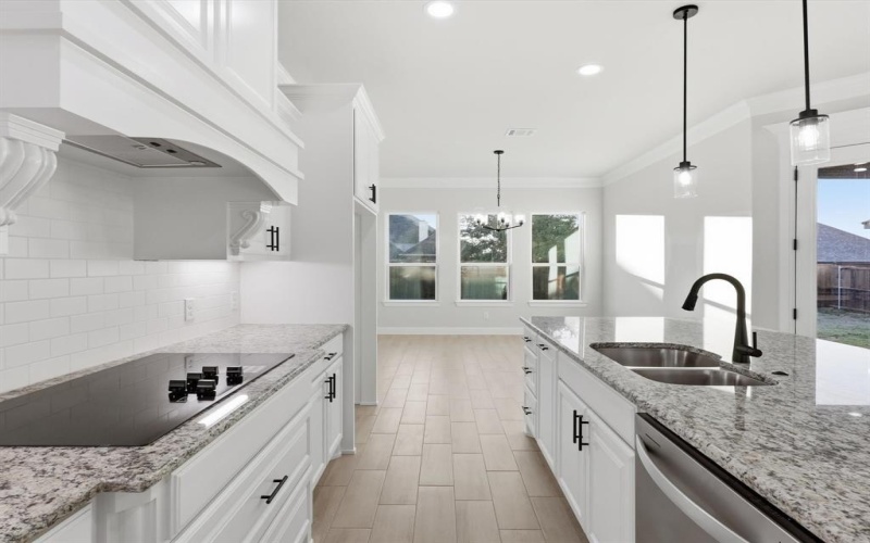 1486 Highland Park Circle, Granbury, TX 76048, 4 Bedrooms Bedrooms, ,2 BathroomsBathrooms,Residential,For Sale,1486 Highland Park Circle,0,21138413