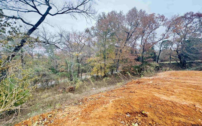 110 Elmwood Court, Palestine, TX 75801, ,Residential,For Sale,110 Elmwood Court,0,25010323