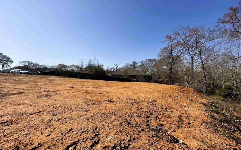 110 Elmwood Court, Palestine, TX 75801, ,Residential,For Sale,110 Elmwood Court,0,25010323