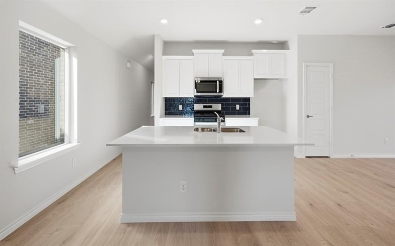 1321 Hopes Lake Drive, Princeton, TX 75407, 3 Habitaciones Habitaciones , ,2 BañosBaños,Residential,En Venta,1321 Hopes Lake Drive,0,21145905