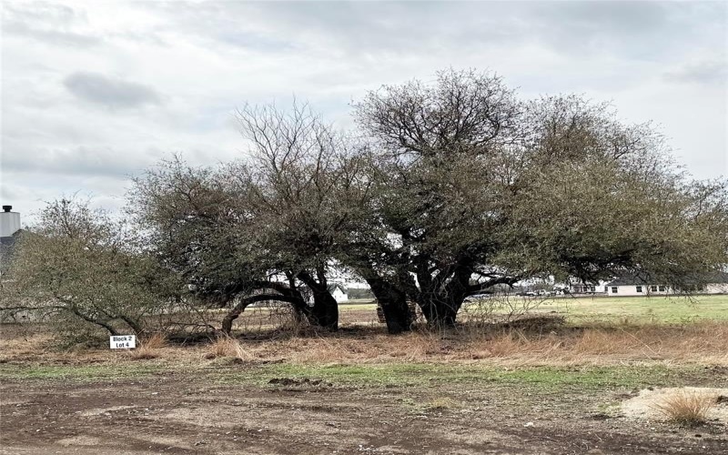 2008 Collin Street, Weatherford, TX 76085, 4 Bedrooms Bedrooms, ,3 BathroomsBathrooms,Residential,For Sale,2008 Collin Street,0,21146004