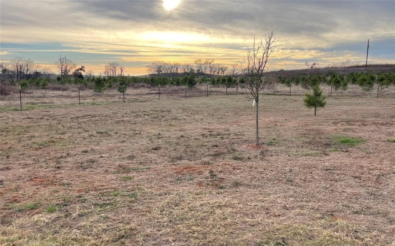 660 CR 3807, Bullard, TX 75757, 4 Bedrooms Bedrooms, ,2 BathroomsBathrooms,Residential,For Sale,660 CR 3807,0,21146664