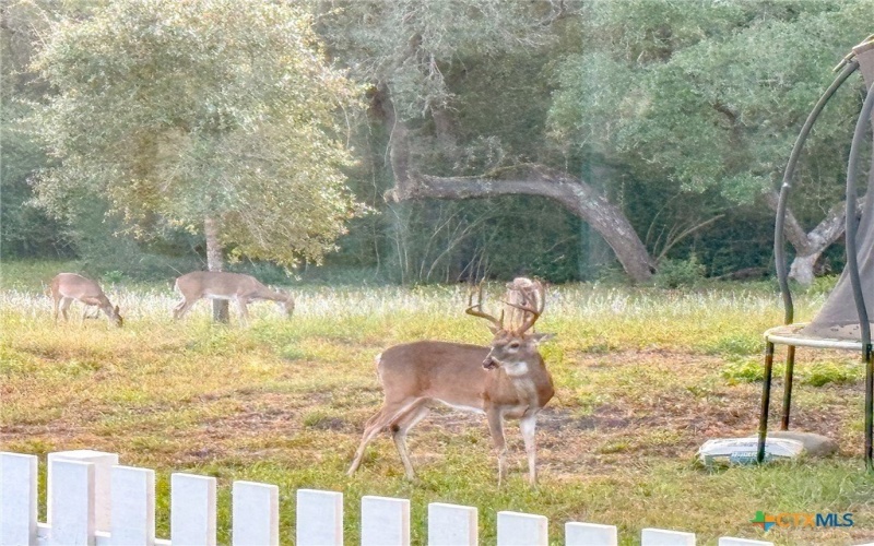 725 Private Road 1581, Hallettsville, TX 77964, 3 Habitaciones Habitaciones , ,2 BañosBaños,Granja,En Venta,725 Private Road 1581,0,601032