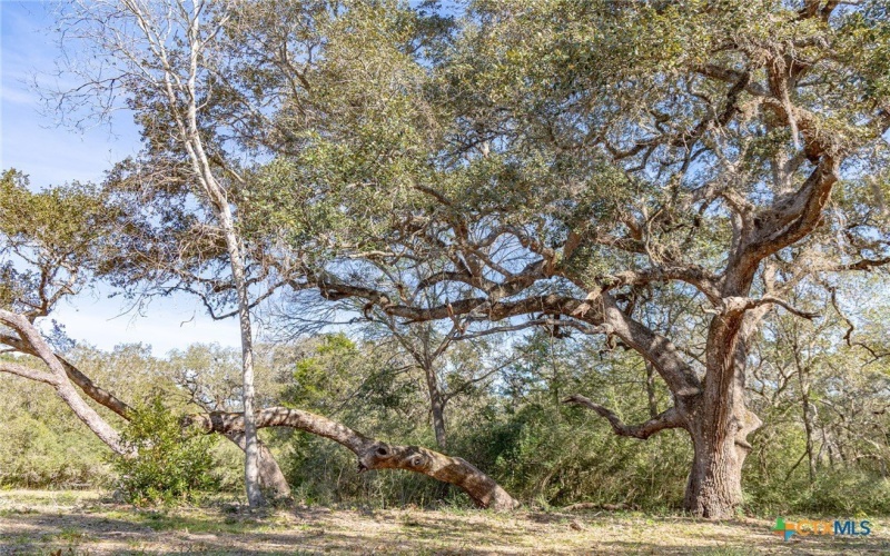 725 Private Road 1581, Hallettsville, TX 77964, 3 Habitaciones Habitaciones , ,2 BañosBaños,Granja,En Venta,725 Private Road 1581,0,601032