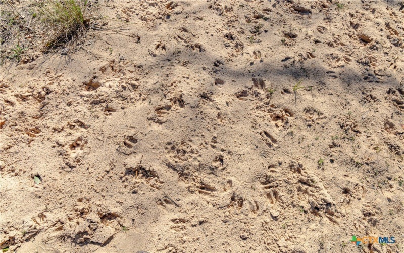 725 Private Road 1581, Hallettsville, TX 77964, 3 Habitaciones Habitaciones , ,2 BañosBaños,Granja,En Venta,725 Private Road 1581,0,601032