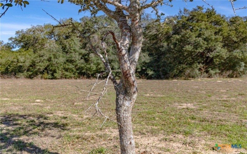 725 Private Road 1581, Hallettsville, TX 77964, 3 Habitaciones Habitaciones , ,2 BañosBaños,Granja,En Venta,725 Private Road 1581,0,601032